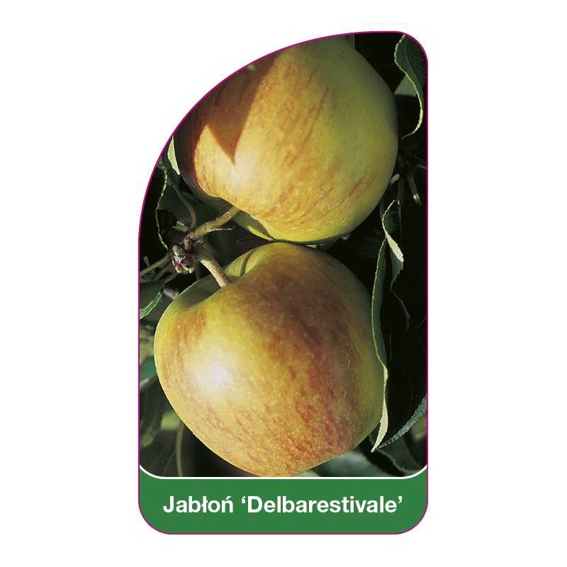 jablon-delbarestivale-1