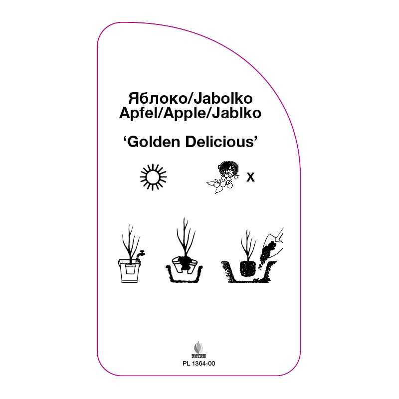 jablon-golden-delicious-0
