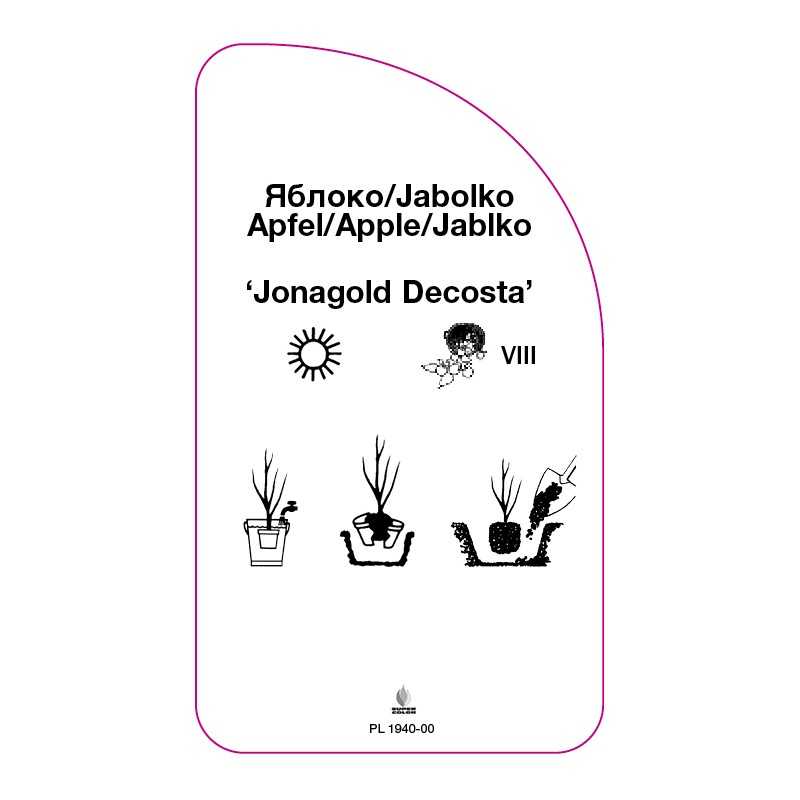 jablon-jonagold-decosta-0