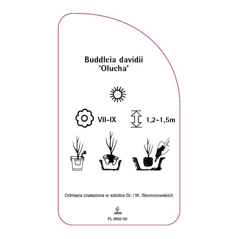 buddleia-davidii-olucha-0