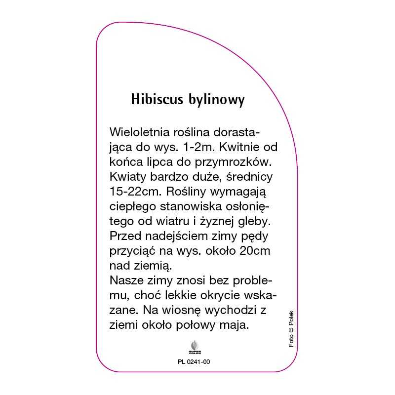 hibiscus-moscheutos-rozowy-bylinowy0