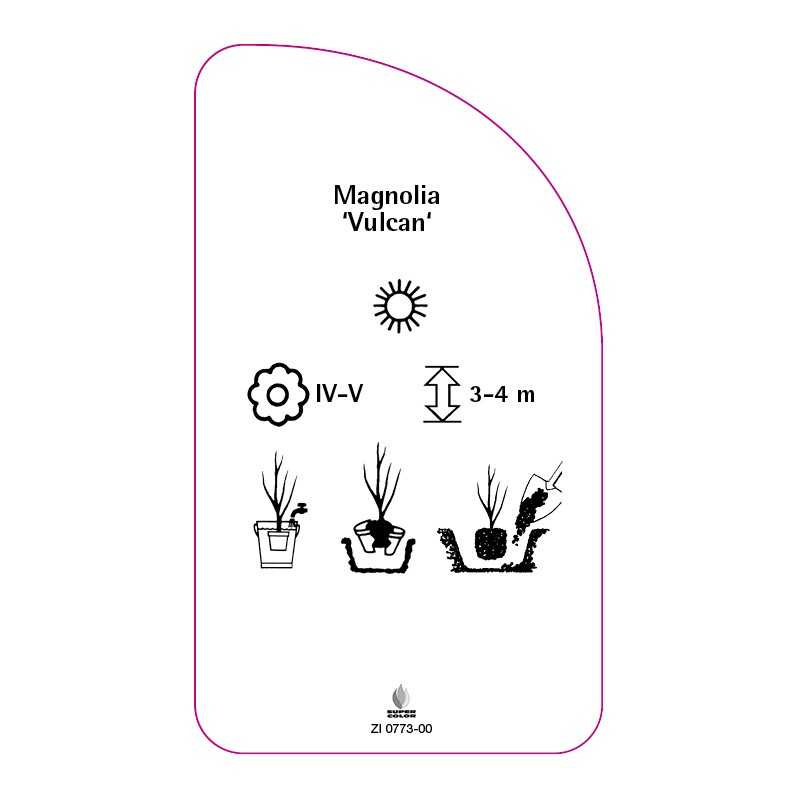 magnolia-vulcan-0