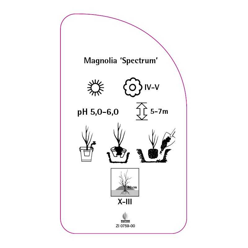 magnolia-spectrum-0
