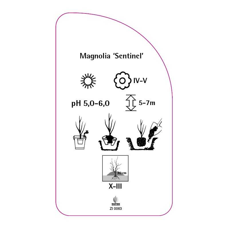 magnolia-sentinel-0