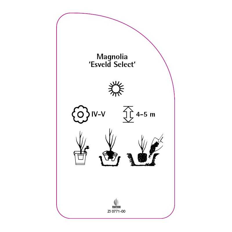 magnolia-esveld-select-0