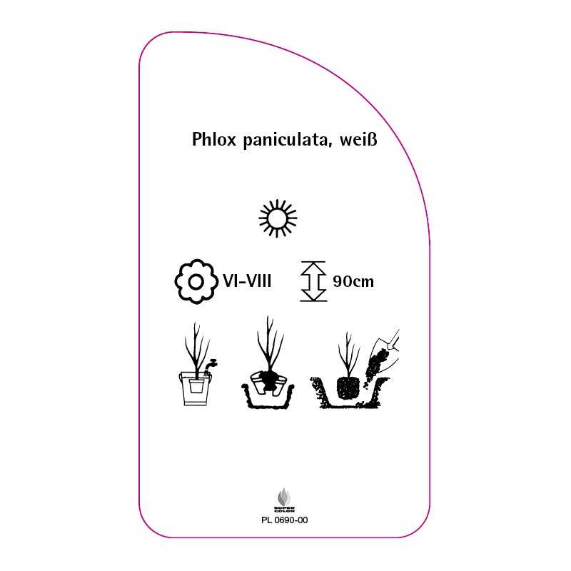 phlox-paniculata-weiss0
