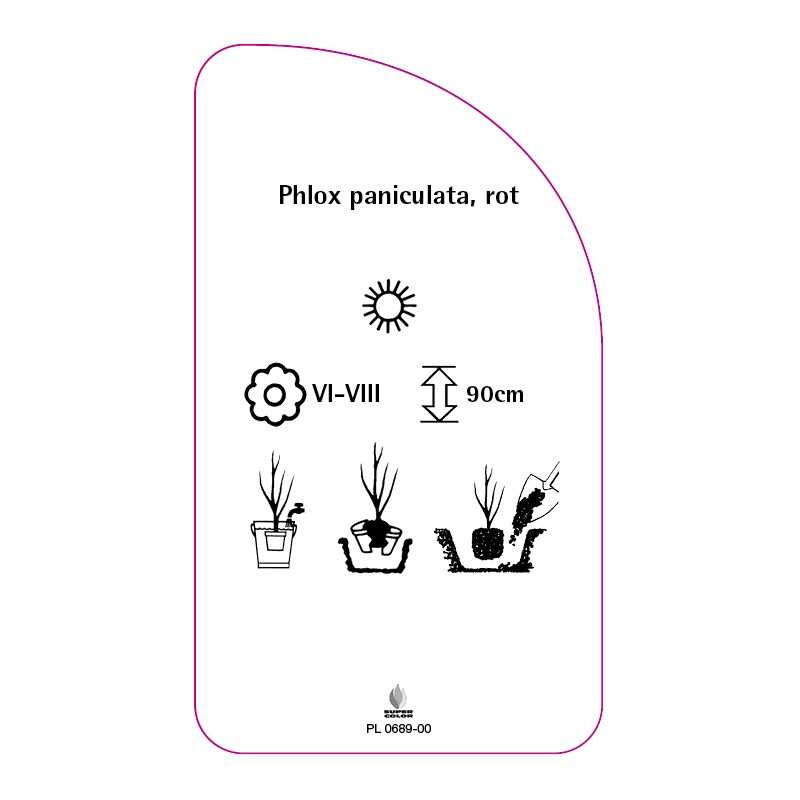 phlox-paniculata-rot0