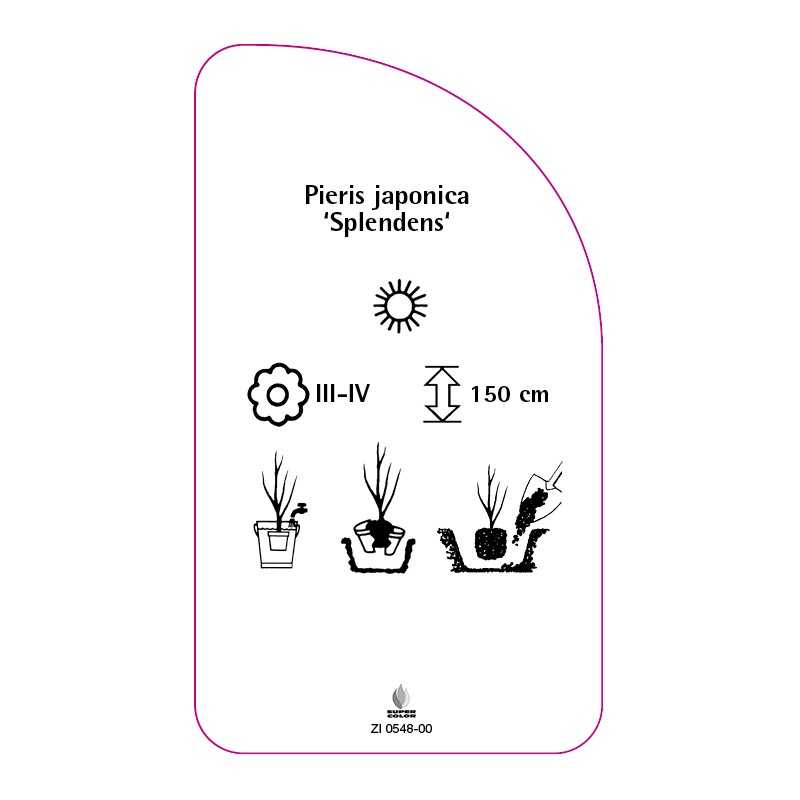 pieris-japonica-splendens-0