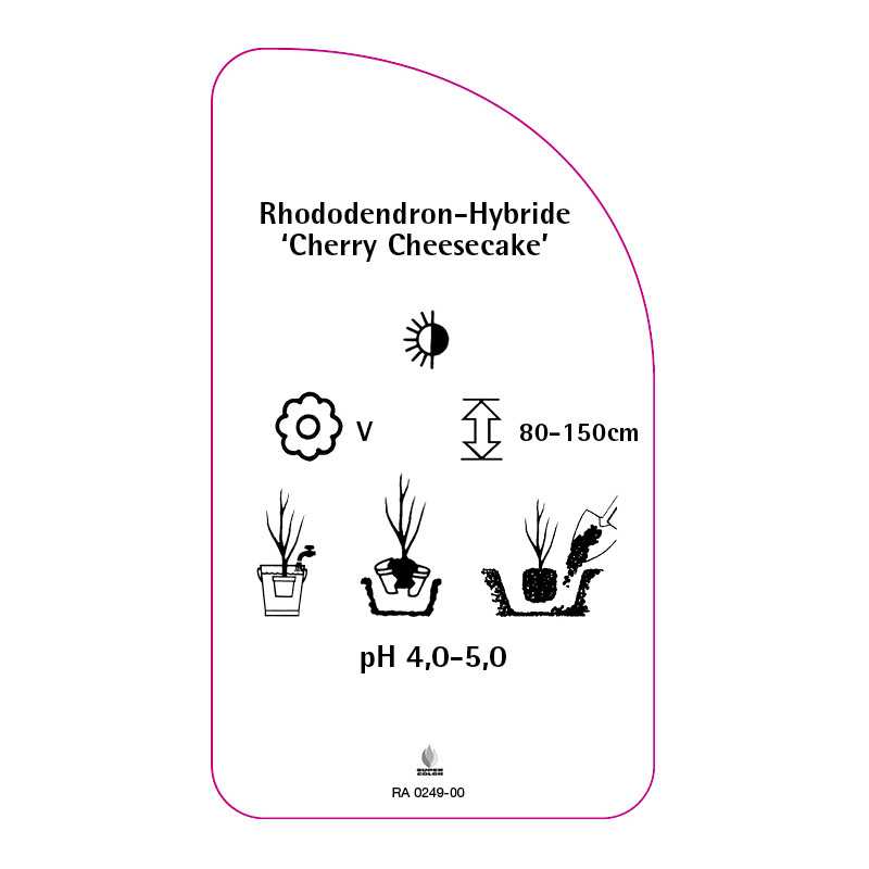 rhododendron-cherry-cheesecake-b0