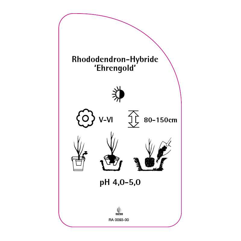 rhododendron-ehrengold-0