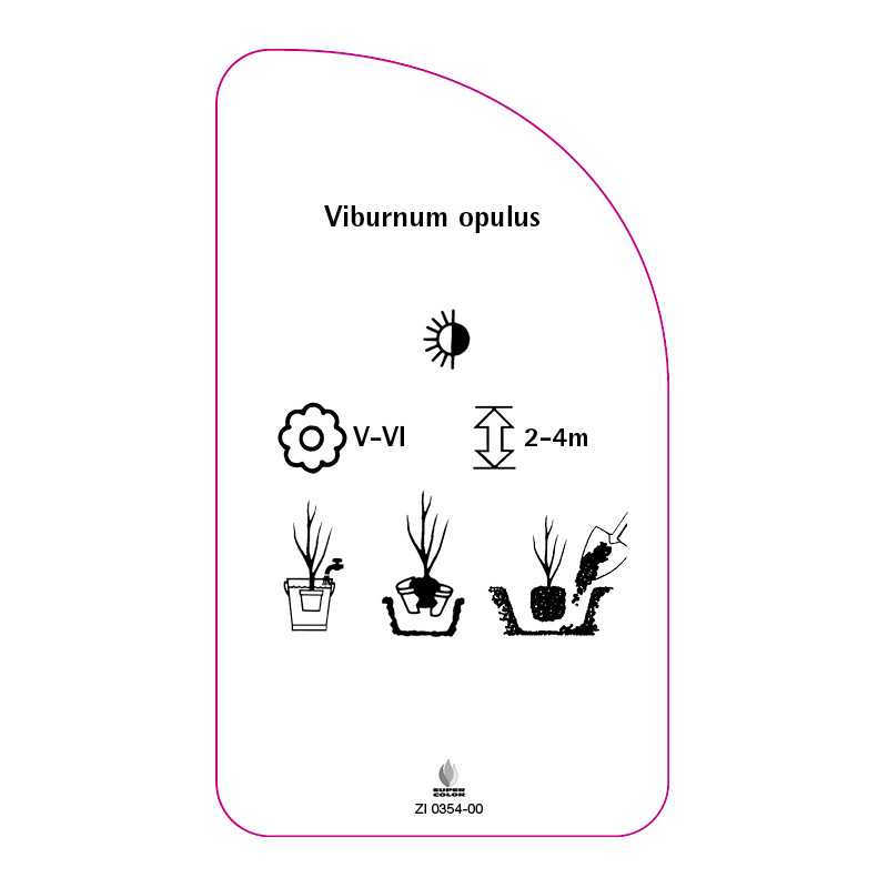 viburnum-opulus-a0