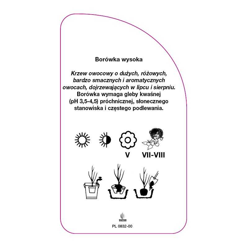 vaccinium-corymbosum-pink-lemonade-standard-c0