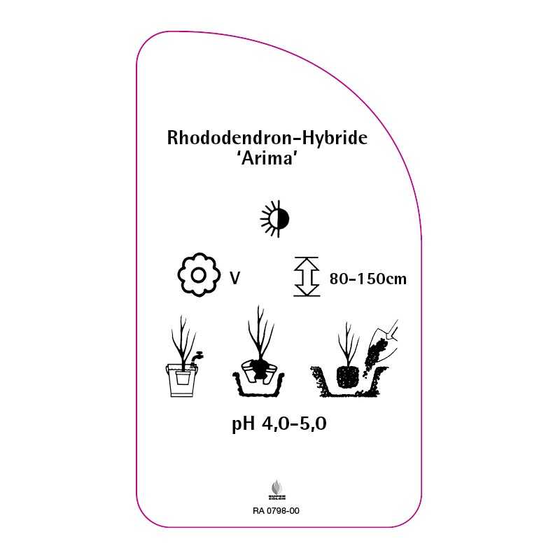rhododendron-arima-0