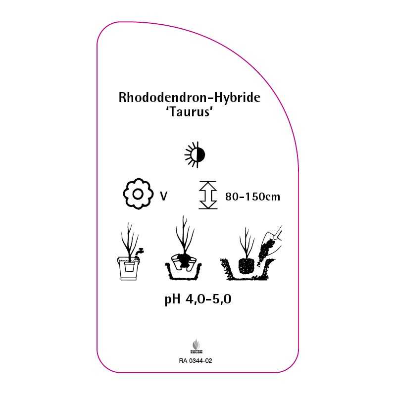 rhododendron-taurus-0