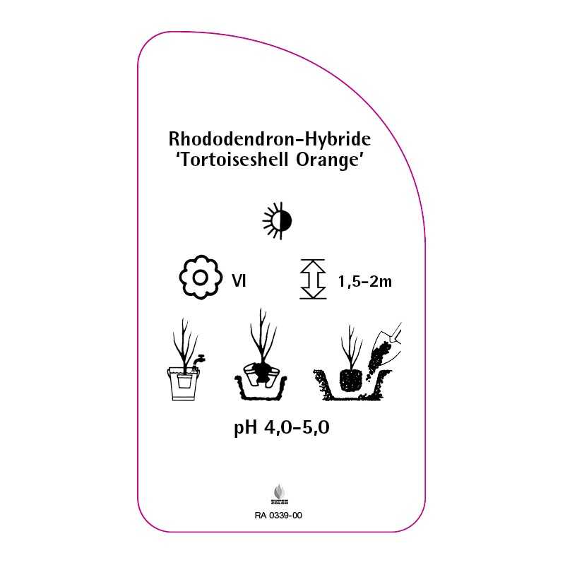 rhododendron-tortoiseshell-orange-0