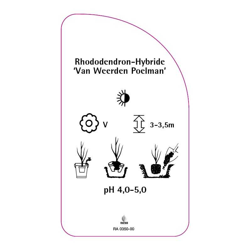 rhododendron-van-weerden-poelman-0