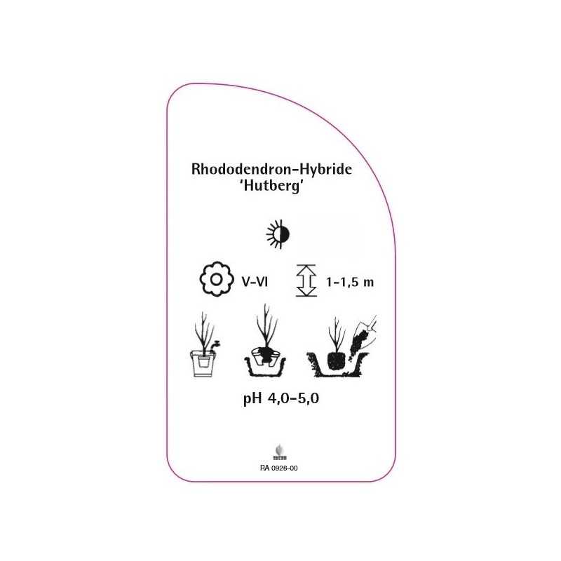 rhododendron-hutberg-0