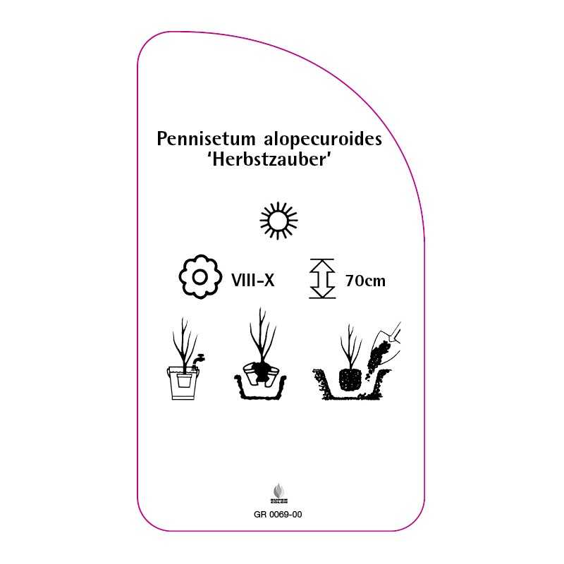 pennisetum-alopecuroides-herbstzauber-0