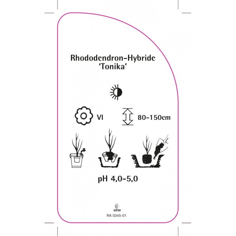 rhododendron-tonika-2