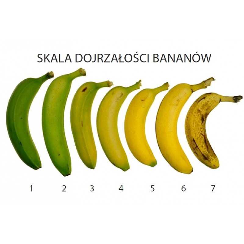 skala-dojrzalosci-bananow0
